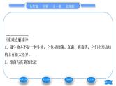 北师大版八年级生物上第5单元生物圈中的动物和微生物第18章生物圈中的微生物第1节微生物在生物圈中的作用第1课时微生物的特征及类别习题课件