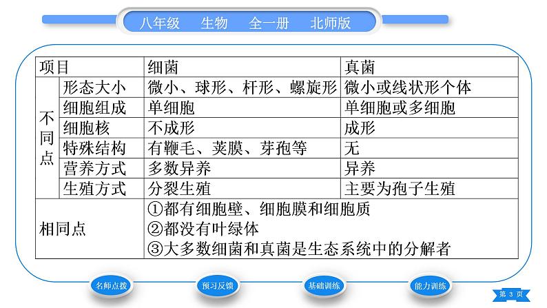 北师大版八年级生物上第5单元生物圈中的动物和微生物第18章生物圈中的微生物第1节微生物在生物圈中的作用第1课时微生物的特征及类别习题课件第3页