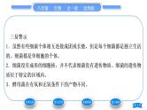 北师大版八年级生物上第5单元生物圈中的动物和微生物第18章生物圈中的微生物第1节微生物在生物圈中的作用第1课时微生物的特征及类别习题课件