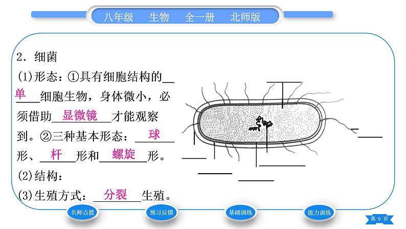 北师大版八年级生物上第5单元生物圈中的动物和微生物第18章生物圈中的微生物第1节微生物在生物圈中的作用第1课时微生物的特征及类别习题课件第6页