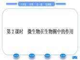 北师大版八年级生物上第5单元生物圈中的动物和微生物第18章生物圈中的微生物第1节微生物在生物圈中的作用第2课时微生物在生物圈中的作用习题课件