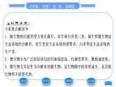 北师大版八年级生物上第5单元生物圈中的动物和微生物第18章生物圈中的微生物第1节微生物在生物圈中的作用第2课时微生物在生物圈中的作用习题课件