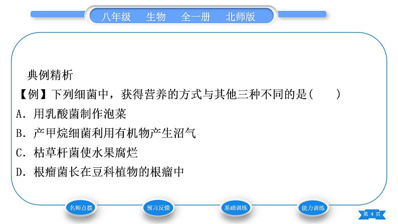 北师大版八年级生物上第5单元生物圈中的动物和微生物第18章生物圈中的微生物第1节微生物在生物圈中的作用第2课时微生物在生物圈中的作用习题课件第4页
