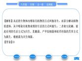 北师大版八年级生物上第5单元生物圈中的动物和微生物第18章生物圈中的微生物第1节微生物在生物圈中的作用第2课时微生物在生物圈中的作用习题课件