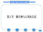 北师大版八年级生物上第5单元生物圈中的动物和微生物第18章生物圈中的微生物第2节微生物与人类的关系习题课件