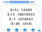 北师大版八年级生物上第6单元生命的延续第19章生物的生殖和发育第1节人的生殖和发育第1课时人的生殖习题课件