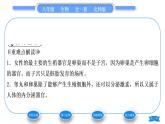 北师大版八年级生物上第6单元生命的延续第19章生物的生殖和发育第1节人的生殖和发育第1课时人的生殖习题课件