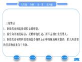 北师大版八年级生物上第6单元生命的延续第19章生物的生殖和发育第1节人的生殖和发育第1课时人的生殖习题课件