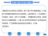 北师大版八年级生物上第6单元生命的延续第19章生物的生殖和发育第1节人的生殖和发育第1课时人的生殖习题课件