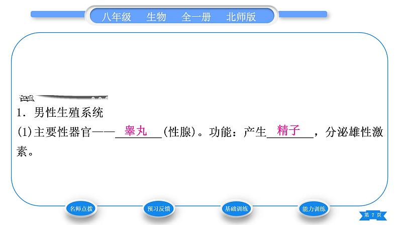 北师大版八年级生物上第6单元生命的延续第19章生物的生殖和发育第1节人的生殖和发育第1课时人的生殖习题课件07