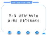 北师大版八年级生物上第6单元生命的延续第19章生物的生殖和发育第2节动物的生殖和发育第1课时昆虫的生殖和发育习题课件