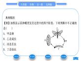 北师大版八年级生物上第6单元生命的延续第19章生物的生殖和发育第2节动物的生殖和发育第1课时昆虫的生殖和发育习题课件