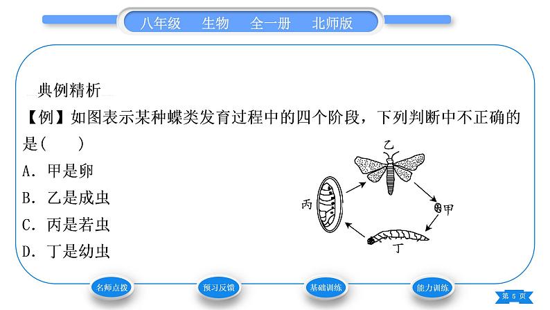 北师大版八年级生物上第6单元生命的延续第19章生物的生殖和发育第2节动物的生殖和发育第1课时昆虫的生殖和发育习题课件05