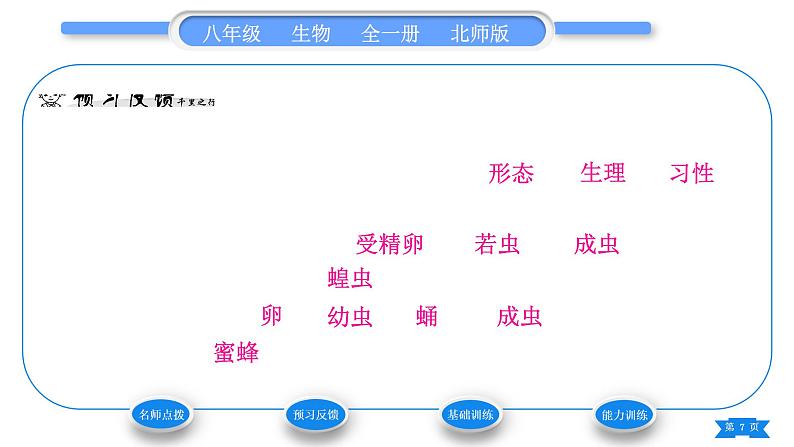 北师大版八年级生物上第6单元生命的延续第19章生物的生殖和发育第2节动物的生殖和发育第1课时昆虫的生殖和发育习题课件07