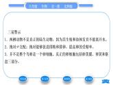 北师大版八年级生物上第6单元生命的延续第19章生物的生殖和发育第2节动物的生殖和发育第2课时两栖类和鸟类的生殖和发育习题课件