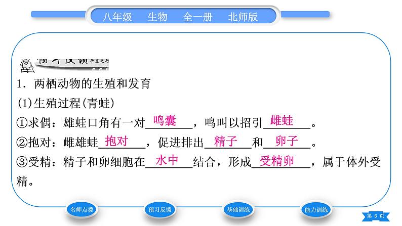 北师大版八年级生物上第6单元生命的延续第19章生物的生殖和发育第2节动物的生殖和发育第2课时两栖类和鸟类的生殖和发育习题课件06