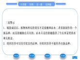 北师大版八年级生物上第6单元生命的延续第19章生物的生殖和发育第3节植物的生殖方式习题课件