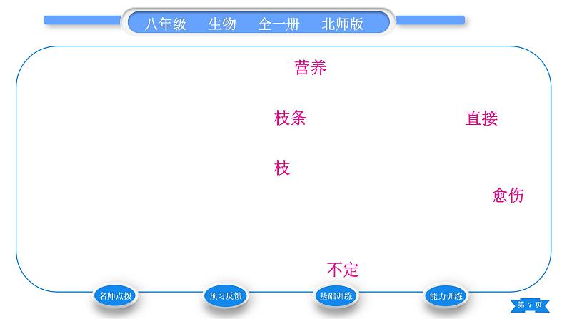 北师大版八年级生物上第6单元生命的延续第19章生物的生殖和发育第3节植物的生殖方式习题课件07