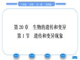 北师大版八年级生物上第6单元生命的延续第20章生物的遗传和变异第1节遗传和变异现象习题课件