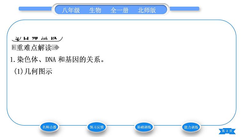 北师大版八年级生物上第6单元生命的延续第20章生物的遗传和变异第2节性状遗传的物质基础习题课件02