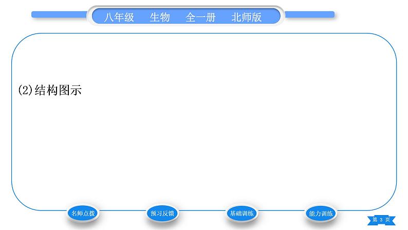 北师大版八年级生物上第6单元生命的延续第20章生物的遗传和变异第2节性状遗传的物质基础习题课件03