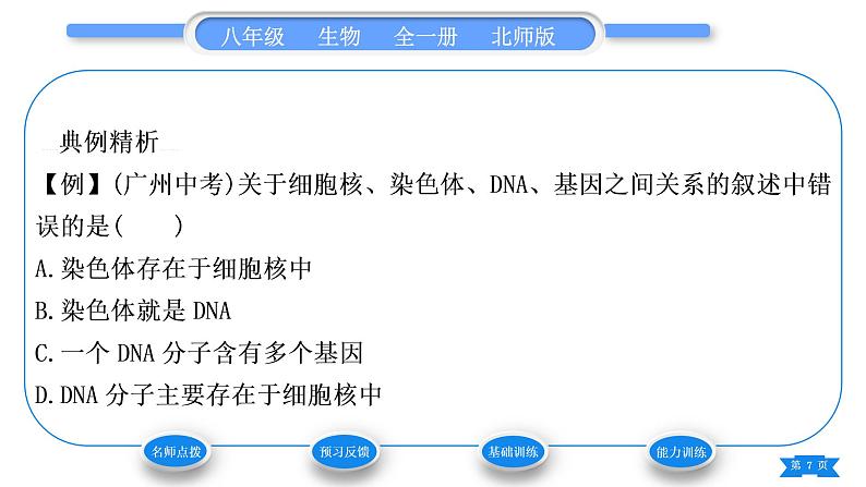 北师大版八年级生物上第6单元生命的延续第20章生物的遗传和变异第2节性状遗传的物质基础习题课件07