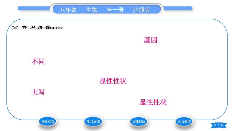 北师大版八年级生物上第6单元生命的延续第20章生物的遗传和变异第3节性状遗传有一定的规律性习题课件07