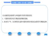 北师大版八年级生物上第6单元生命的延续第20章生物的遗传和变异第5节遗传与环境习题课件