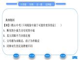 北师大版八年级生物上第6单元生命的延续第20章生物的遗传和变异第5节遗传与环境习题课件