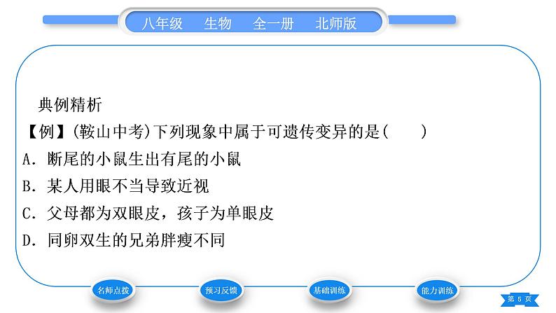 北师大版八年级生物上第6单元生命的延续第20章生物的遗传和变异第5节遗传与环境习题课件05