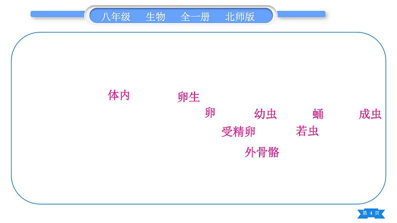 北师大版八年级生物上第6单元生命的延续第19章生物的生殖和发育复习与提升一(第19章)习题课件04