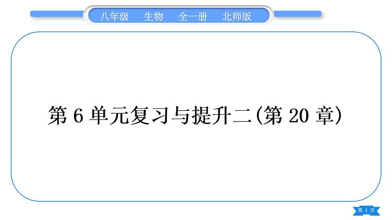 北师大版八年级生物上第6单元生命的延续第20章生物的遗传和变异复习与提升二(第20章)习题课件01