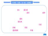 北师大版八年级生物上第6单元生命的延续第20章生物的遗传和变异复习与提升二(第20章)习题课件