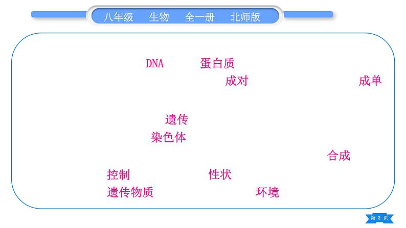 北师大版八年级生物上第6单元生命的延续第20章生物的遗传和变异复习与提升二(第20章)习题课件03