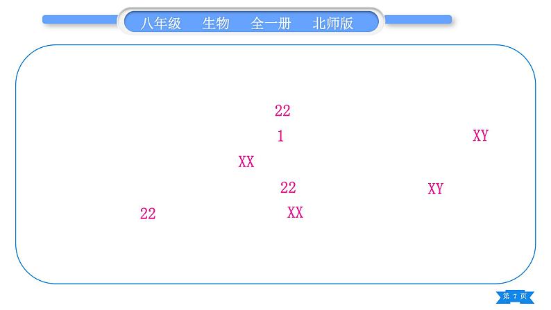 北师大版八年级生物上第6单元生命的延续第20章生物的遗传和变异复习与提升二(第20章)习题课件07