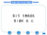 北师大版八年级生物下第7单元生命的演化第21章生命的发生和发展第2节生物的进化第1课时化石习题课件
