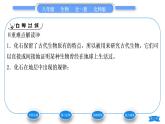北师大版八年级生物下第7单元生命的演化第21章生命的发生和发展第2节生物的进化第1课时化石习题课件