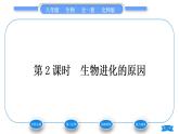 北师大版八年级生物下第7单元生命的演化第21章生命的发生和发展第2节生物的进化第2课时生物进化的原因习题课件