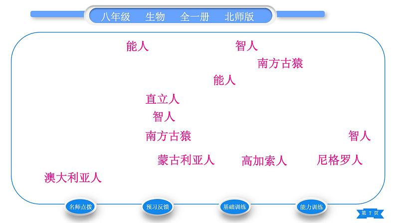 北师大版八年级生物下第7单元生命的演化第21章生命的发生和发展第3节人类的起源与进化习题课件07