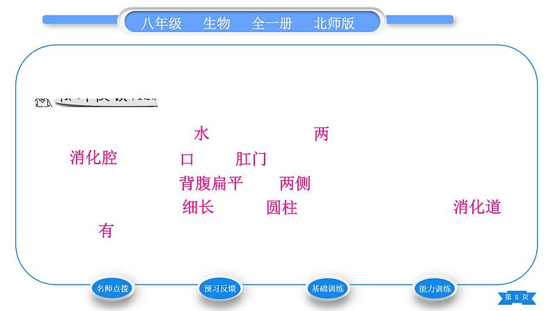 北师大版八年级生物下第7单元生命的演化第22章物种的多样性第4节动物的主要类群第1课时无脊椎动物习题课件05