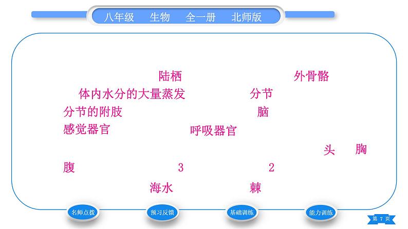 北师大版八年级生物下第7单元生命的演化第22章物种的多样性第4节动物的主要类群第1课时无脊椎动物习题课件07