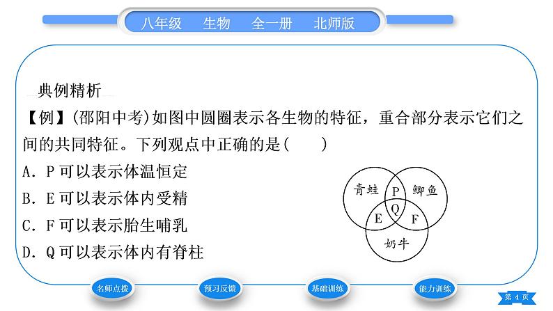 北师大版八年级生物下第7单元生命的演化第22章物种的多样性第4节动物的主要类群第2课时脊椎动物习题课件04