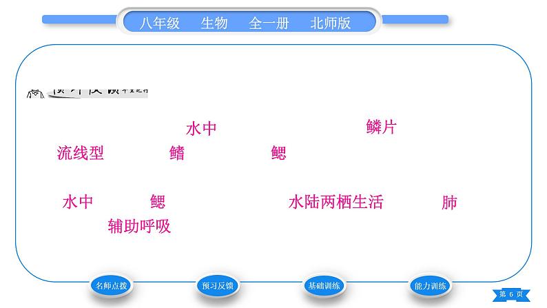 北师大版八年级生物下第7单元生命的演化第22章物种的多样性第4节动物的主要类群第2课时脊椎动物习题课件06