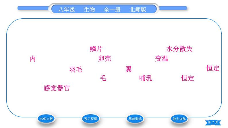 北师大版八年级生物下第7单元生命的演化第22章物种的多样性第4节动物的主要类群第2课时脊椎动物习题课件07