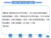 北師大版八年級(jí)生物下第7單元生命的演化第22章物種的多樣性第1節(jié)生物的分類習(xí)題課件