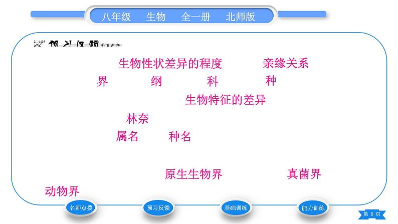 北师大版八年级生物下第7单元生命的演化第22章物种的多样性第1节生物的分类习题课件06