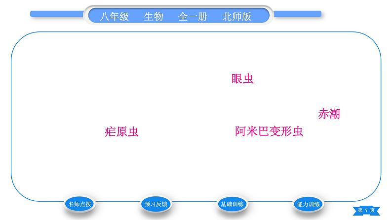 北师大版八年级生物下第7单元生命的演化第22章物种的多样性第2节原生生物的主要类群习题课件第7页