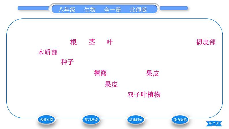 北师大版八年级生物下第7单元生命的演化第22章物种的多样性第3节植物的主要类群习题课件第7页