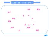 北师大版八年级生物下第7单元生命的演化第22章物种的多样性复习与提升二(第22章)习题课件