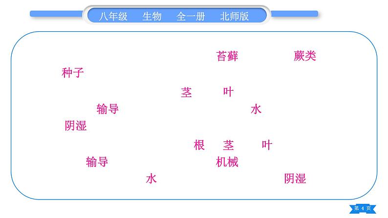 北师大版八年级生物下第7单元生命的演化第22章物种的多样性复习与提升二(第22章)习题课件第4页